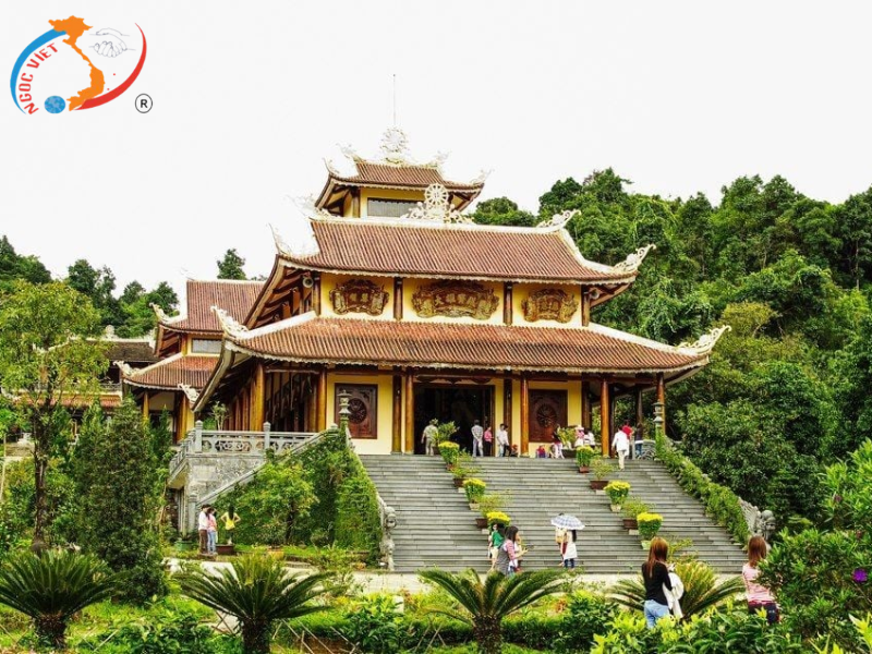 TOUR ĐÀ LẠT 3 NGÀY - KDL MONGO LAND - KDL THÚY THUẬN  - SAMTEN HILLS