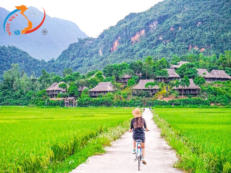 TOUR MIỀN BẮC - 10 NGÀY KHÁM PHÁ MIỀN BẮC VIỆT NAM